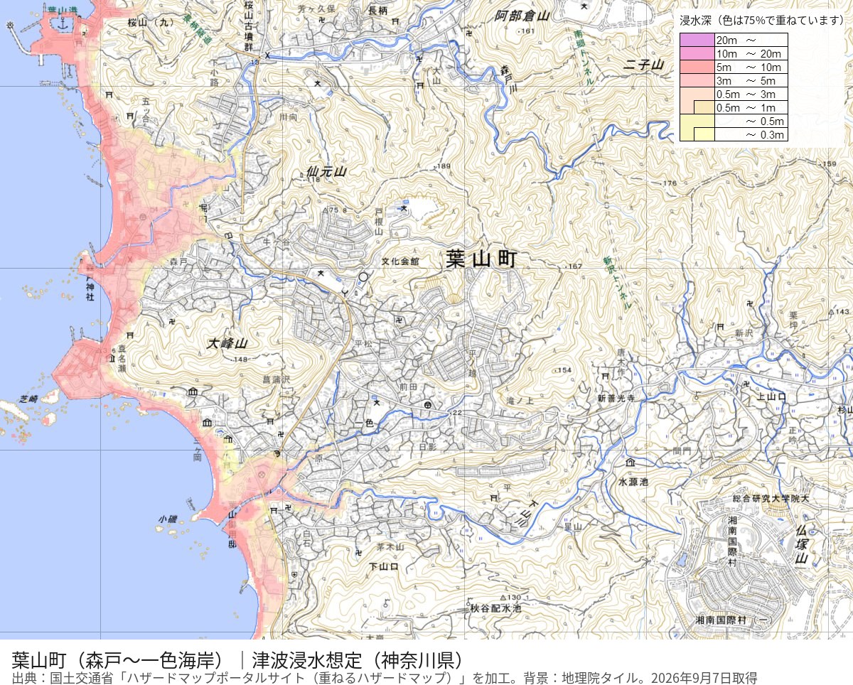 葉山の森戸海岸から一色海岸までの津波浸水想定の地図。海岸沿いの帯と川沿いの低地に浸水深の色がある