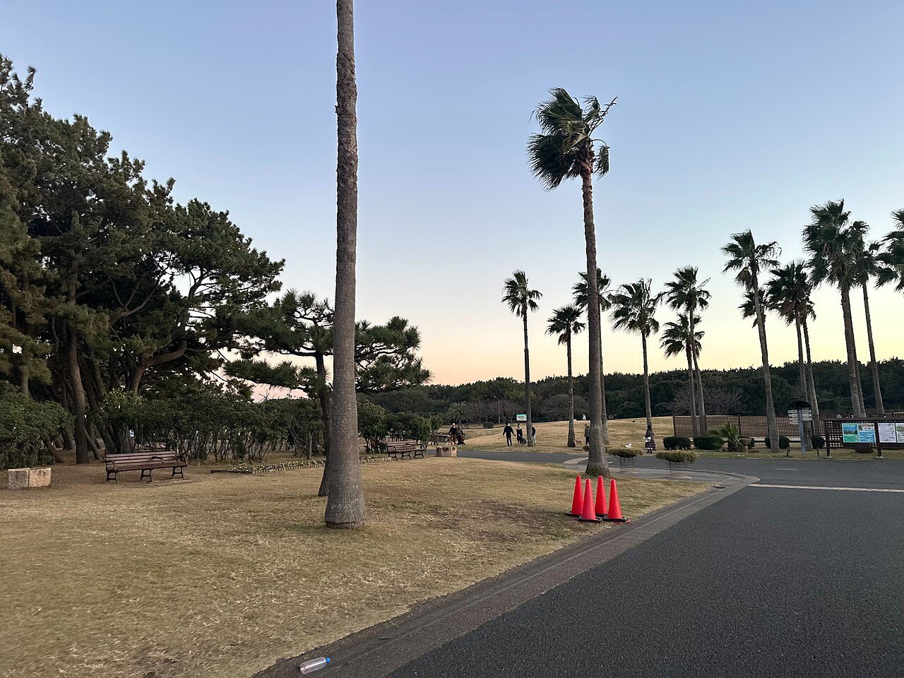 夕方の辻堂海浜公園（2023年12月）
